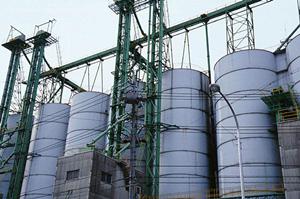 魅力的な料理を演出する食用金箔の活用法とおすすめ商品ガイド