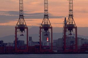 金沢の看板専門店マツリョウの新サービス