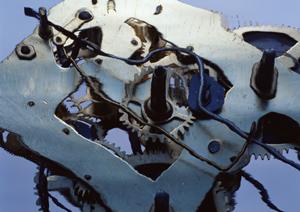 足立区で選ばれる！プロショップの魅力とサービス完全ガイド【2025年最新版】